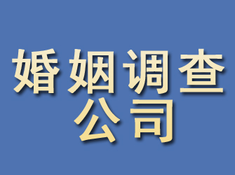 巴马婚姻调查公司